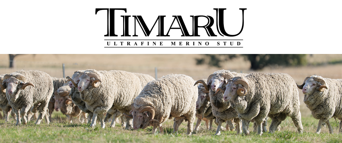 Timaru Merino Stud NSW
