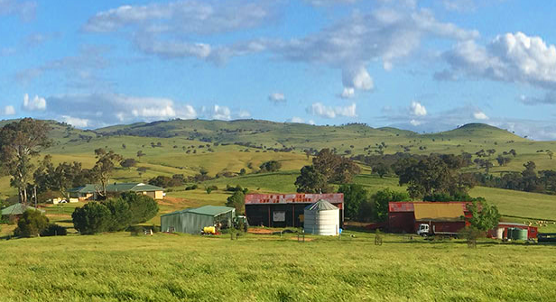 Timaru Merino Stud
