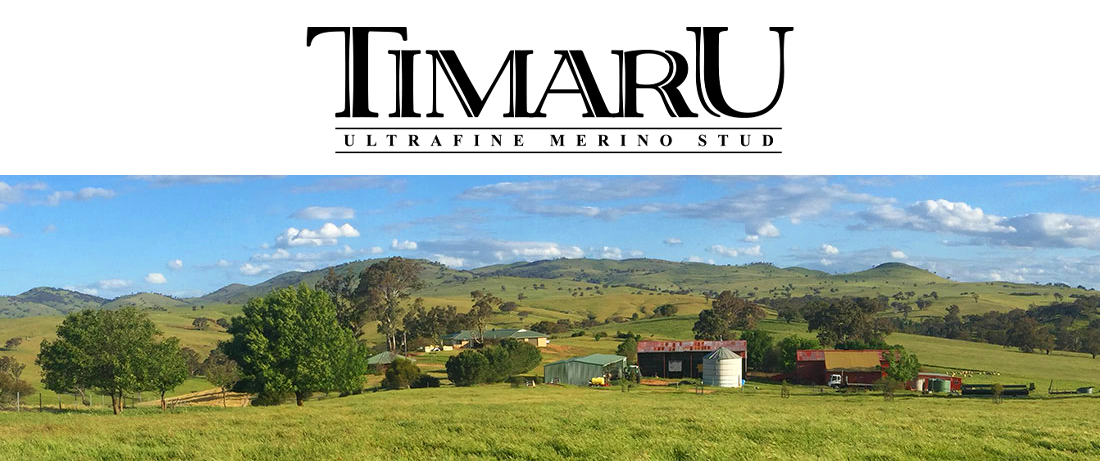Timaru Merino Stud NSW