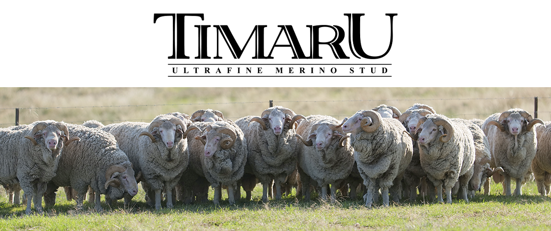 Timaru Merino Stud NSW