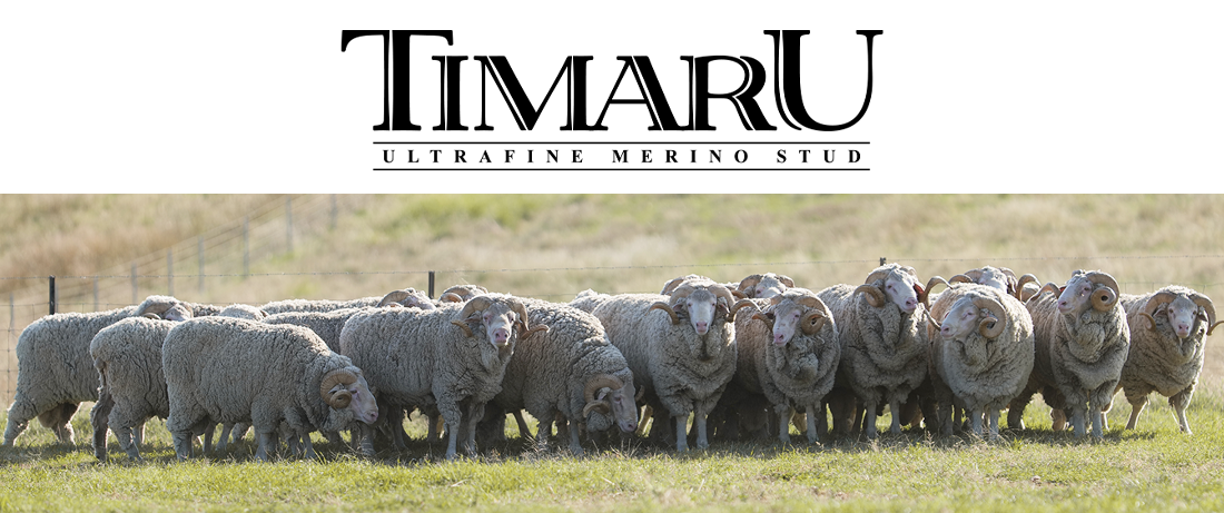 Timaru Merino Stud NSW